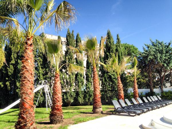 Las mejores ofertas de Le Palme SALERNO