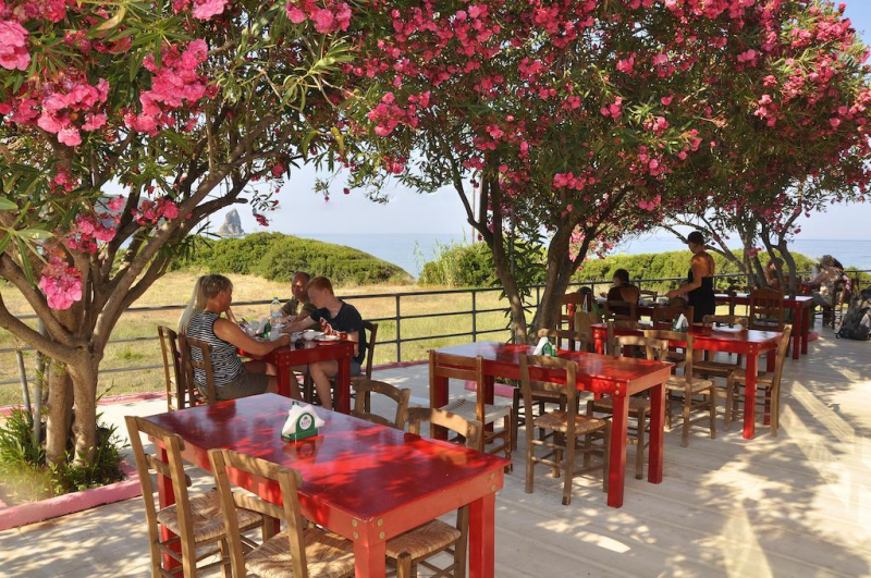 Pink Palace Beach Resort