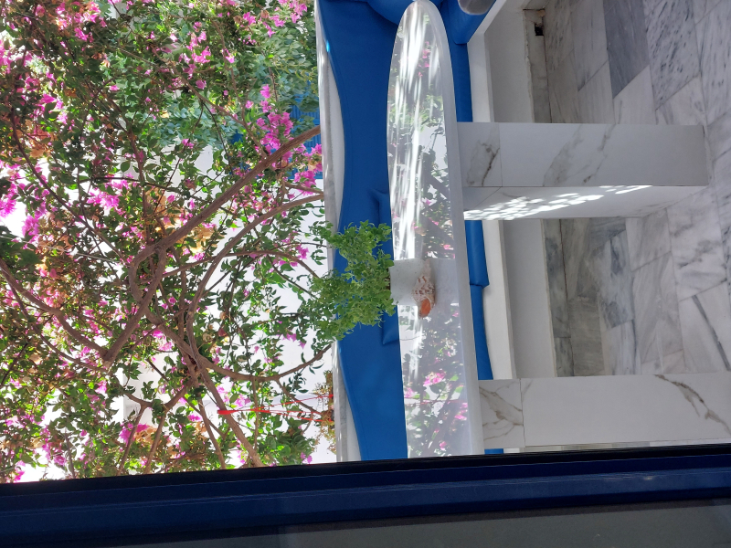 Delfini Hotel