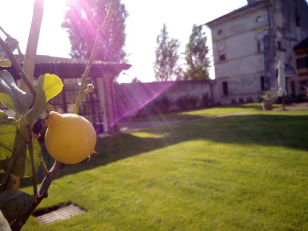 Las mejores ofertas de Musella Winery & Country Relais Verona