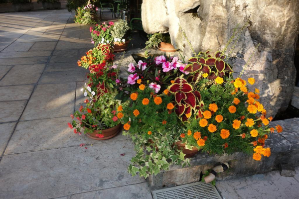 Las mejores ofertas de Euromotel Croce Bianca Verona