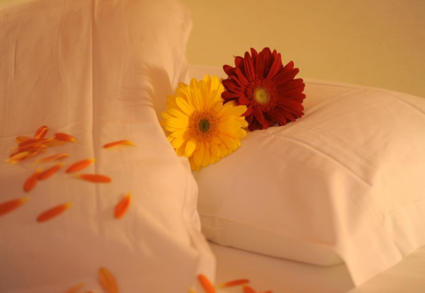 Las mejores ofertas de Hotel Etrusco Livorno