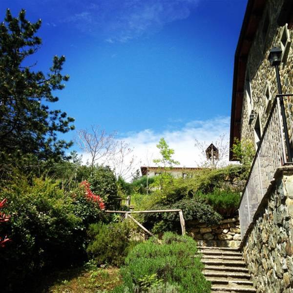 Las mejores ofertas de I Tre Baroni Arezzo