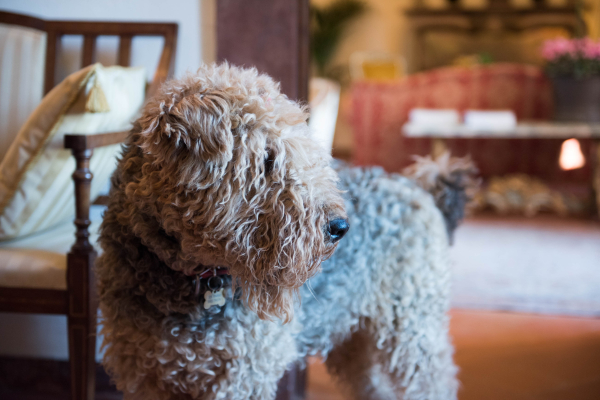 Las mejores ofertas de Borgo Tenuta La Bandita Livorno