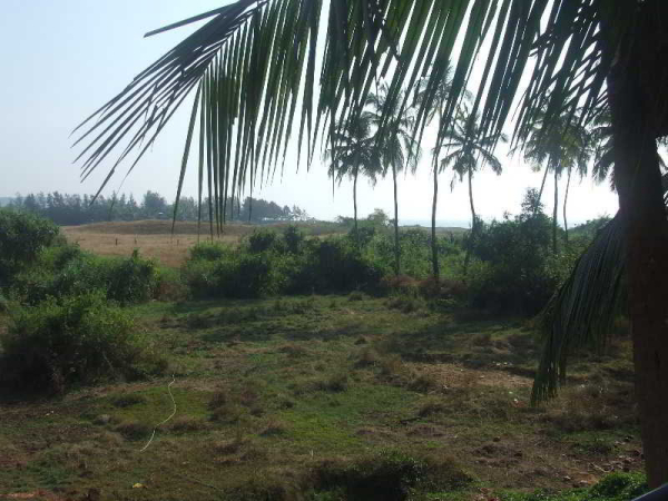 Las mejores ofertas de Pleasure Beach Resort North Goa