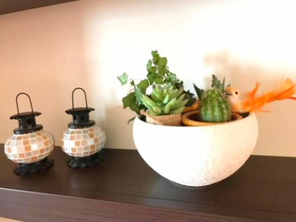 Las mejores ofertas de Olga Brac Island 