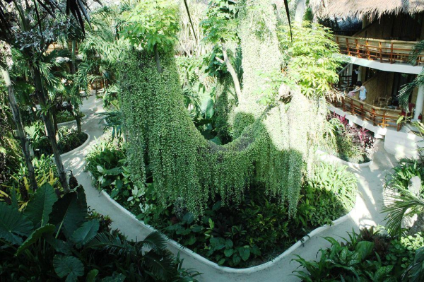 Las mejores ofertas de Nigi Nigi Nu Noos Beach Resort Boracay Island