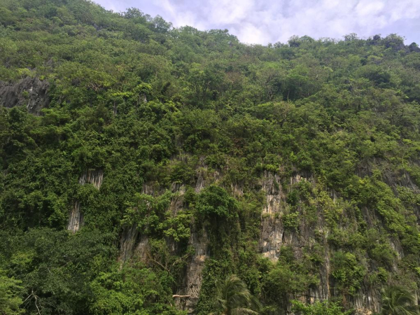 Las mejores ofertas de El Nido Viewdeck Cottages Puerto Princesa 