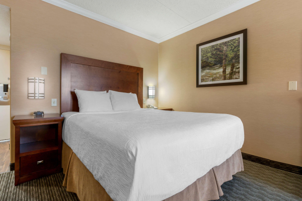 Las mejores ofertas de Best Western Plus Dryden Hotel & Conference Centre Dryden
