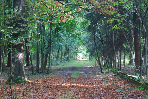 Las mejores ofertas de Country Hotel Castelbarco Milan