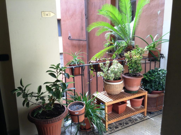 Las mejores ofertas de B&B Julius Caesar 183 Roma