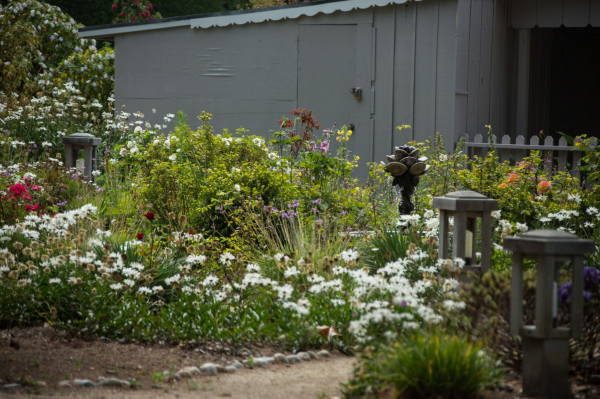 Las mejores ofertas de Carmel River Inn California City 