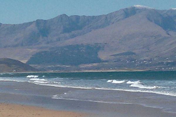 Las mejores ofertas de Beenoskee KERRY