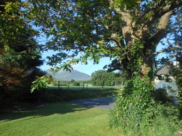 Las mejores ofertas de Kingdom View KERRY