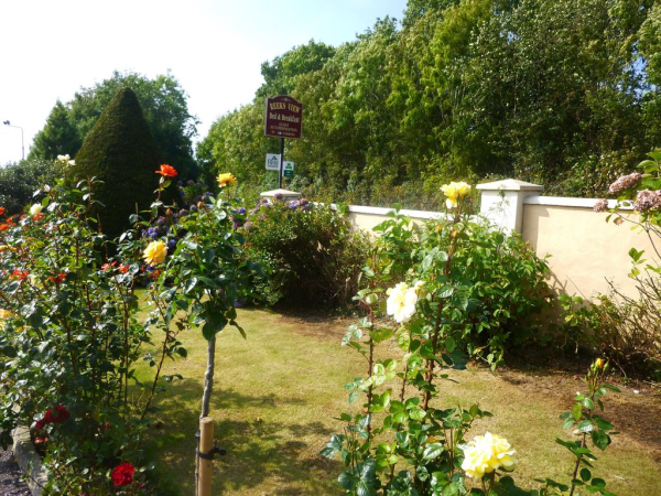 Las mejores ofertas de Reeks View KERRY