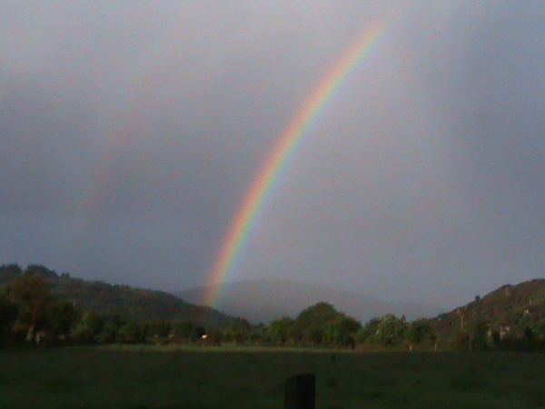 Las mejores ofertas de Salmon Leap KERRY