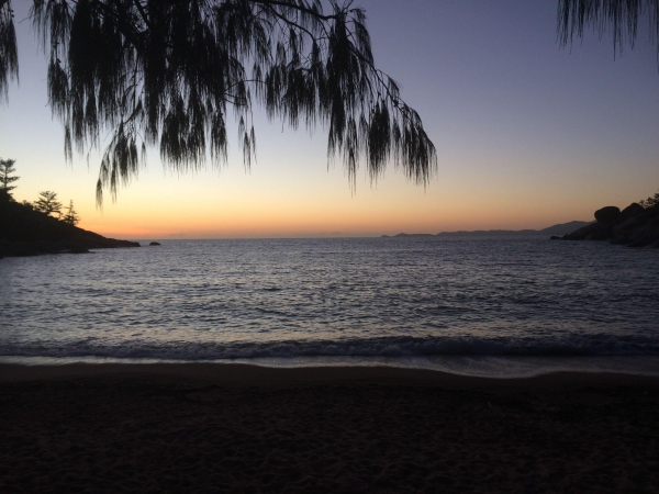 Las mejores ofertas de Tropical Palms Resort & 4WD Hire Great Barrier Reef