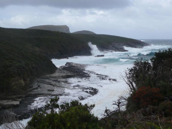 Las mejores ofertas de Taranna Cottages North Coast