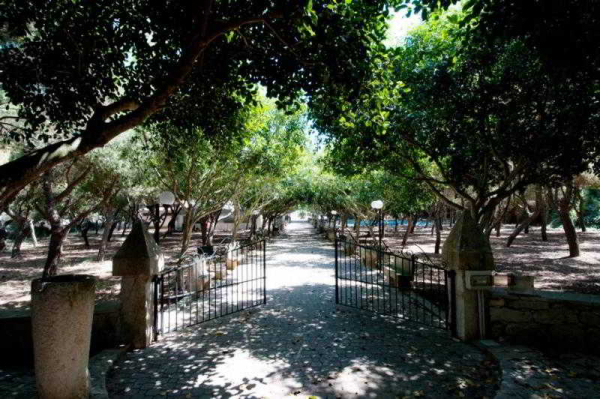 Las mejores ofertas de Agriturismo La Maddalena Trapani