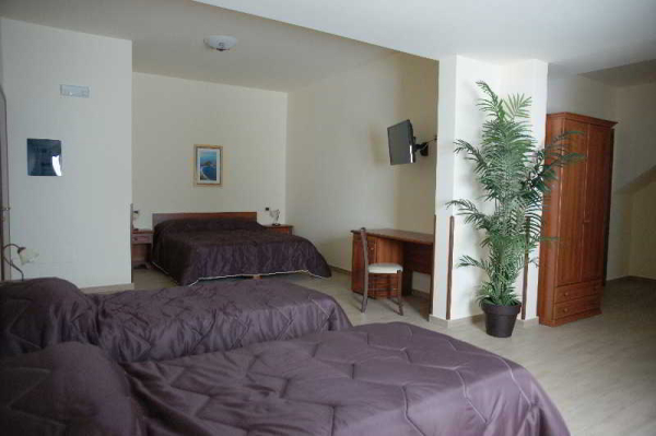 Las mejores ofertas de Sofia Trapani