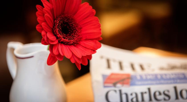 Las mejores ofertas de Blandford Central London