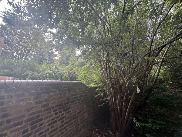 Las mejores ofertas de Cavendish Central London