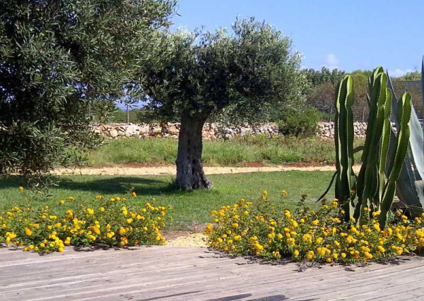 Las mejores ofertas de Residence Lisola Trapani