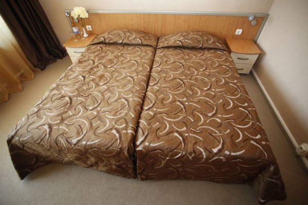 Las mejores ofertas de Gladiola Golden Sands