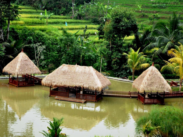 Las mejores ofertas de The Jhon's Cianjur Aquatic Resort Isla de Bali