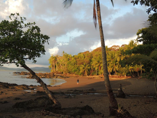 Las mejores ofertas de Corcovado Adventures Tent Camp South Pacific Beaches In Costa Rica