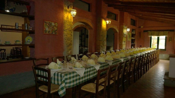 Las mejores ofertas de Monte Alto Trapani