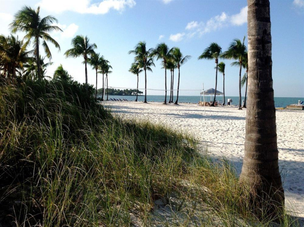 Las mejores ofertas de Tranquility Bay Beach House Resort Florida Keys