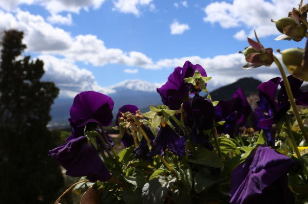 Las mejores ofertas de Casa Cuseni Trapani