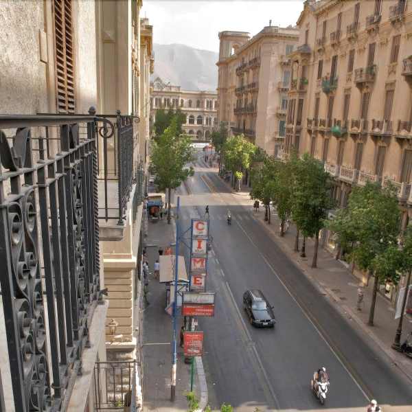 Las mejores ofertas de Castiglia Trapani