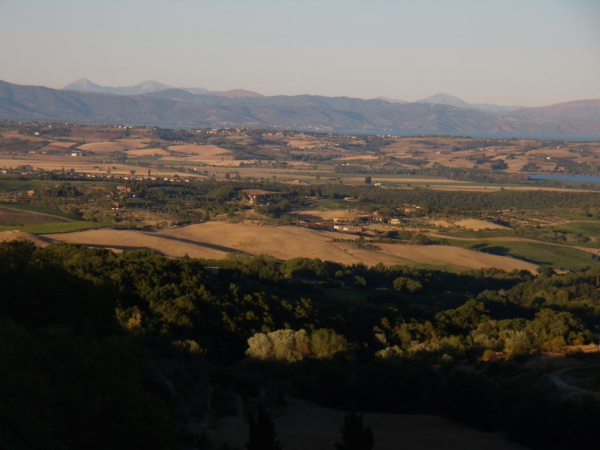 Las mejores ofertas de Sangallo Siena