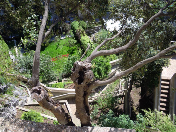 Las mejores ofertas de Villa Lara Neapolitan Riviera