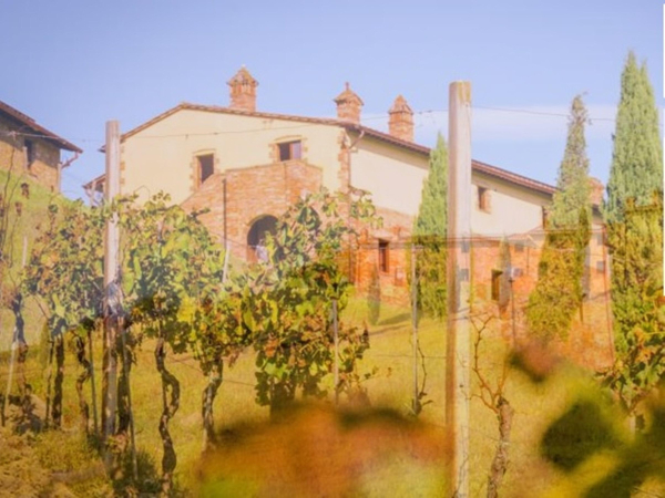 Las mejores ofertas de Colle Bertini Siena