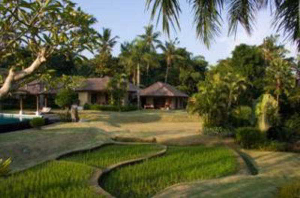 Las mejores ofertas de The Lotus Residence Isla de Bali