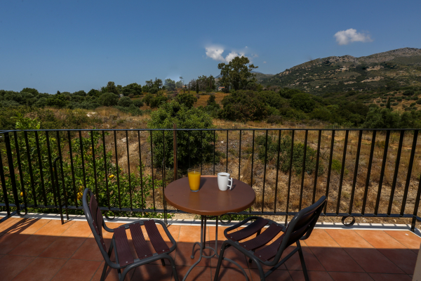 Las mejores ofertas de Pelagos Apartments Skala Kefalonias