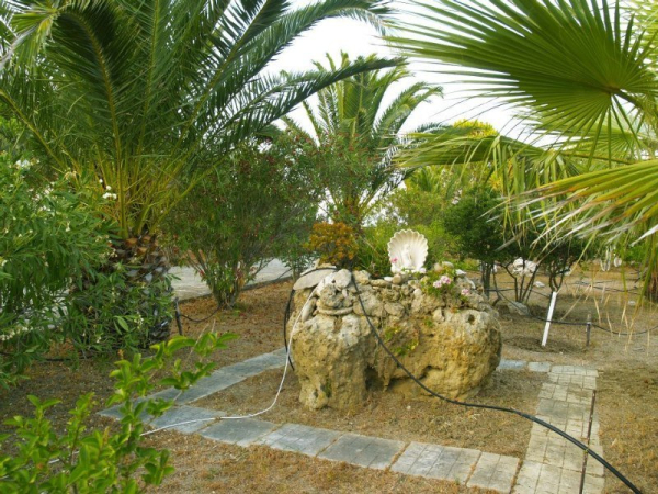 Las mejores ofertas de Sunny Studios & Apartments Skala Kefalonias