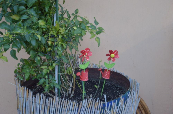 Las mejores ofertas de Villa Reverenza Skala Kefalonias