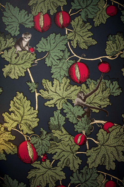 Las mejores ofertas de No. 11 Hotel Edinburgh Edinburgh City Chamber