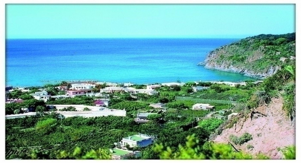 Las mejores ofertas de Cesotta Neapolitan Riviera