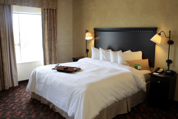 Las mejores ofertas de Hampton Inn & Suites Dallas-Arlington North-Entert Dallas 
