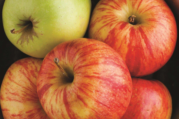 Las mejores ofertas de La Quinta Inn & Suites Dallas Plano West Dallas 