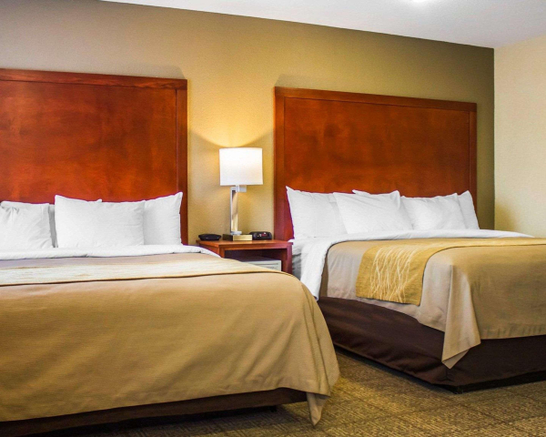Las mejores ofertas de Comfort Inn Guilford I-95 Connecticut State Prison 