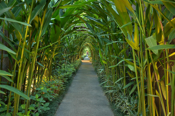 Las mejores ofertas de Ziva A Boutique Villa Isla de Bali