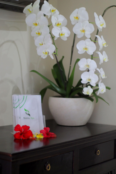 Las mejores ofertas de Baleka Resort Hotel & Spa Isla de Bali