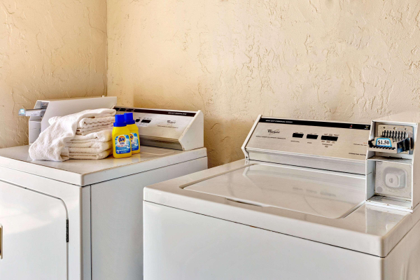 Las mejores ofertas de Super 8 by Wyndham Tampa USF Busch Gardens Downtwn Tampa 