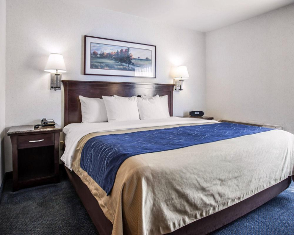 Las mejores ofertas de Comfort Inn Bellingham Bellingham 